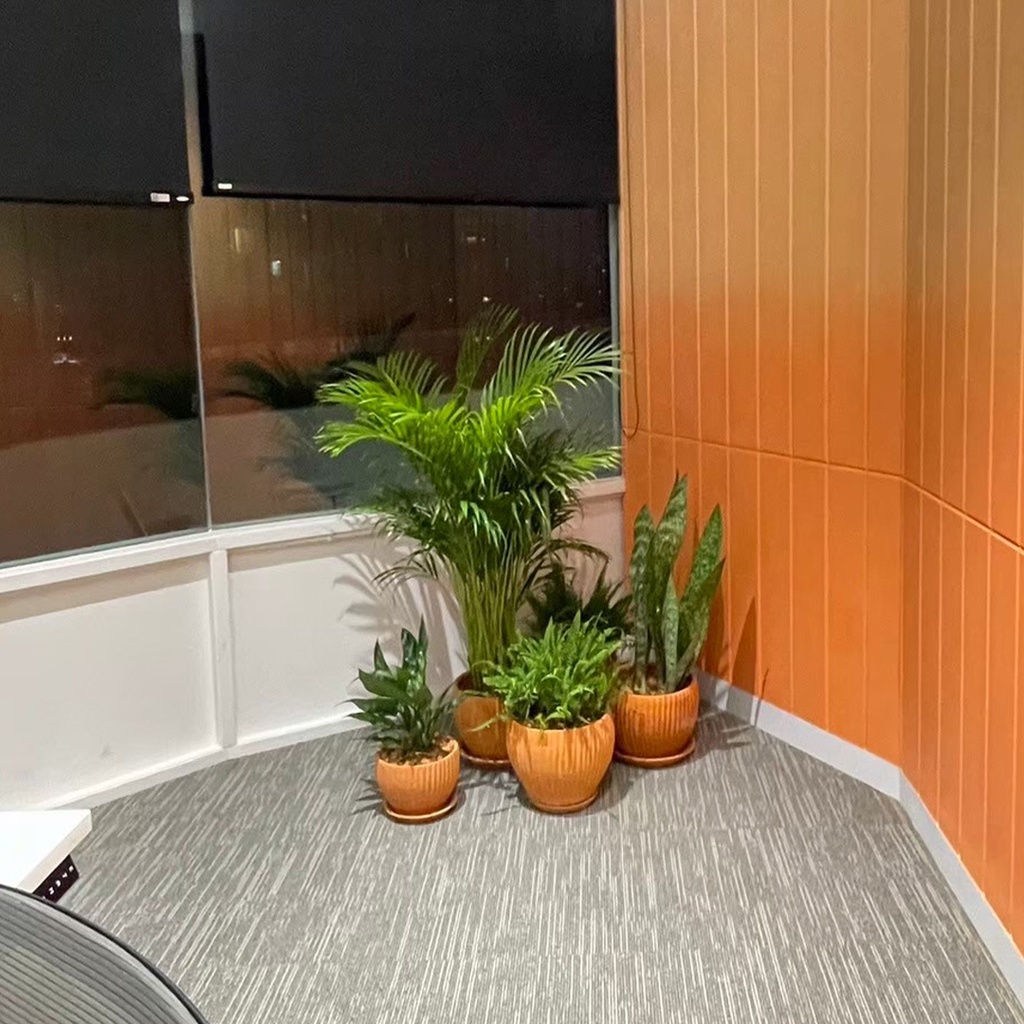 
Monthly Plant Rental Service - Package B: COZY OFFICE THEME